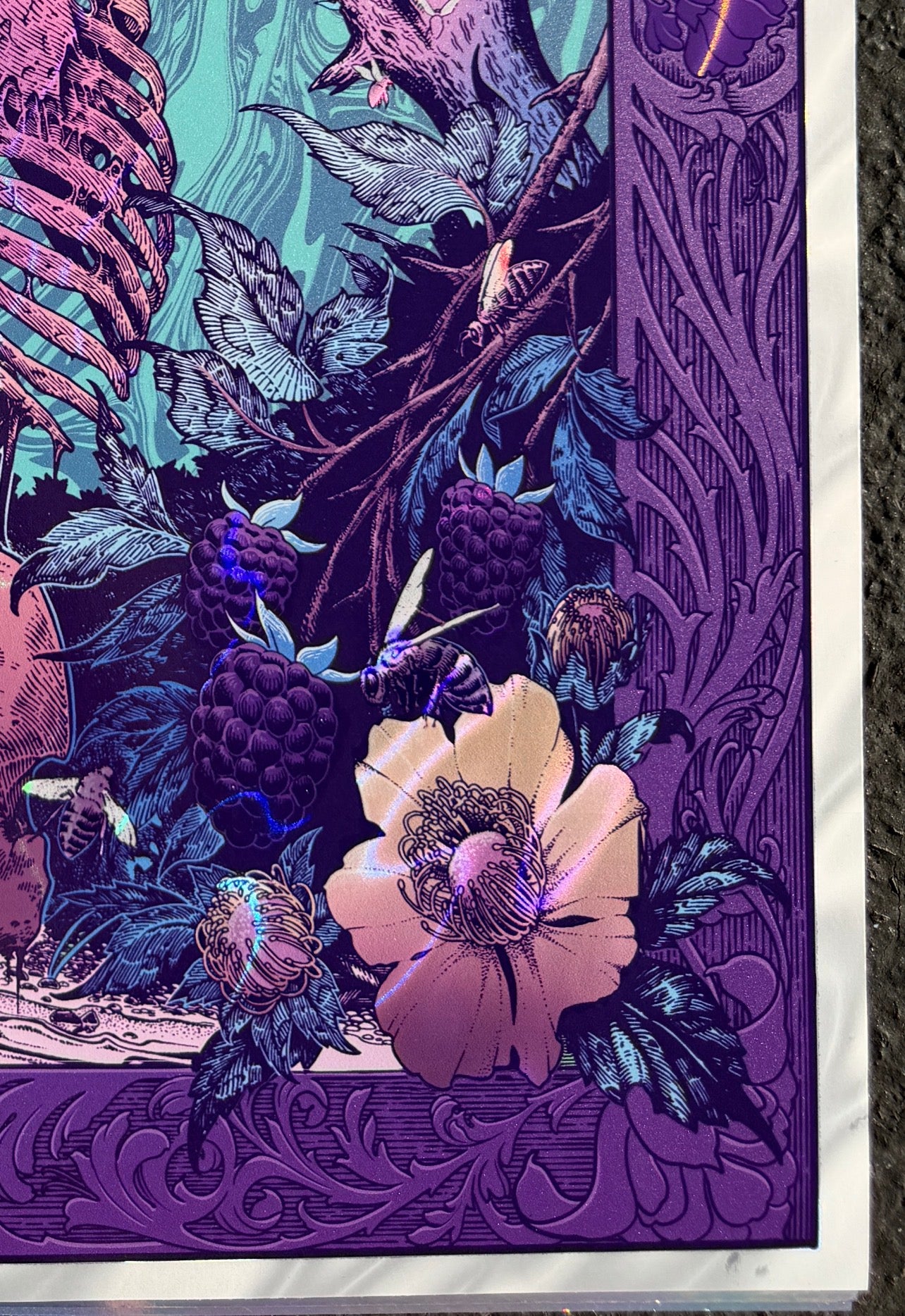 “APIANA” 18in x 24in LIMITED EDITION FOIL PRINT (Rare)