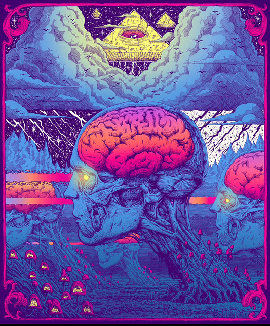 “REALM OF THE VEIL” (RARE) 20in x 24in LIMITED EDITION PRINT