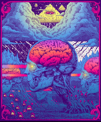 “REALM OF THE VEIL” (RARE) 20in x 24in LIMITED EDITION PRINT