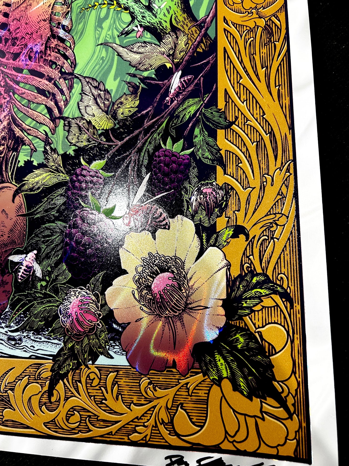 “APIANA” 18in x 24in LIMITED EDITION FOIL PRINT (Regular Variant)