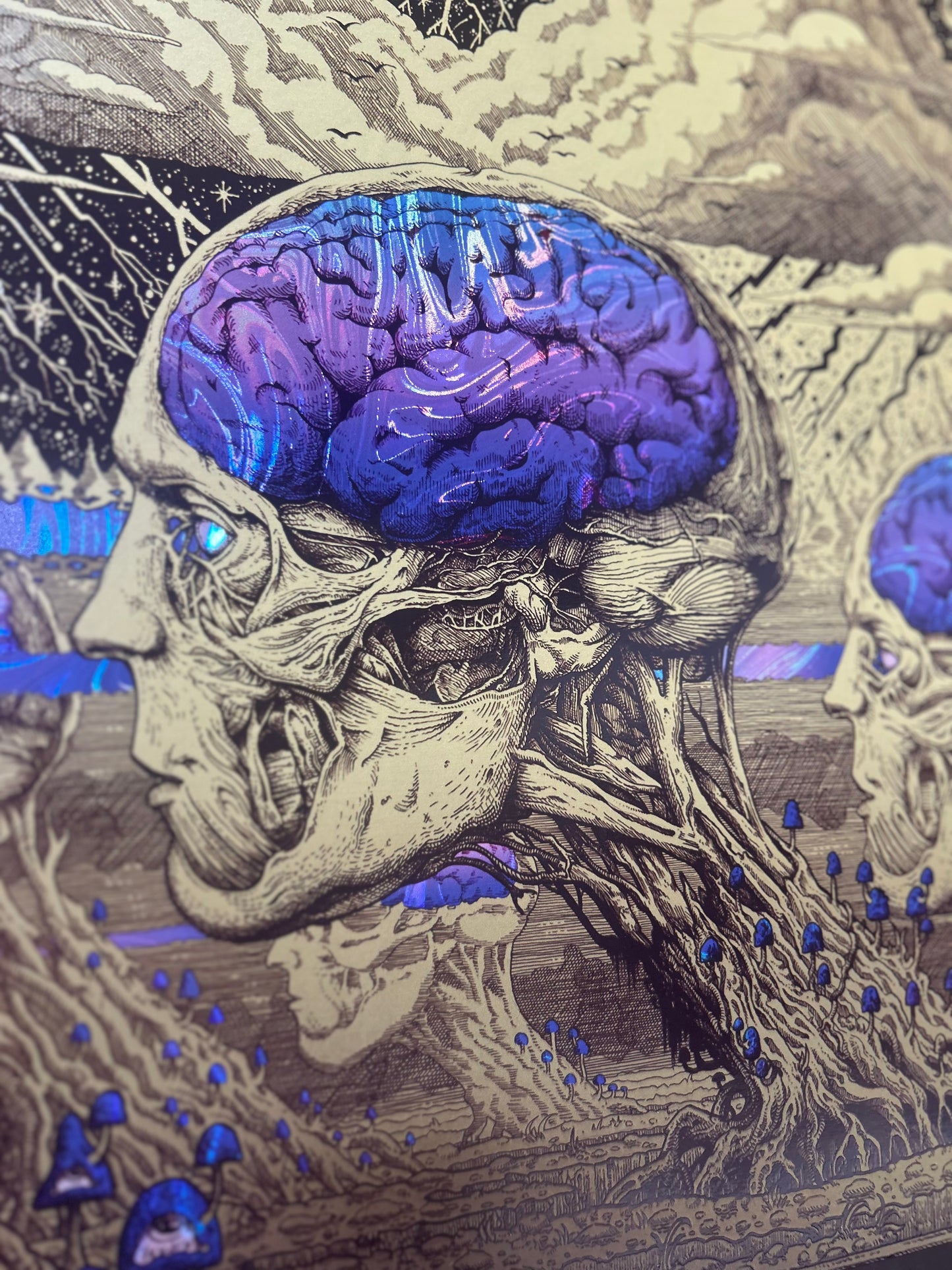 “REALM OF THE VEIL” 16in x 20in Limited Edition Foil Print (Standard)