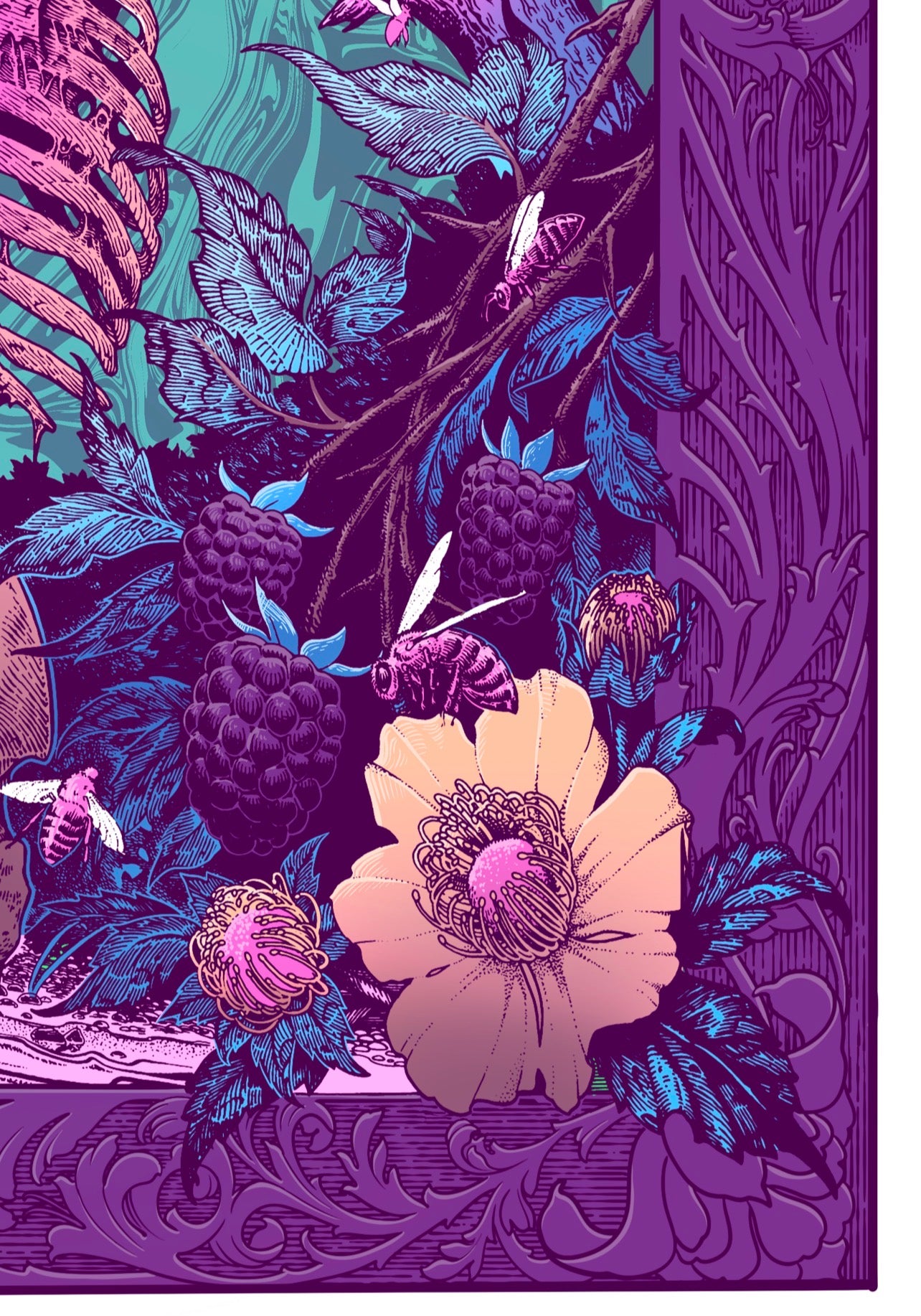 “APIANA” 18in x 24in LIMITED EDITION PRINT