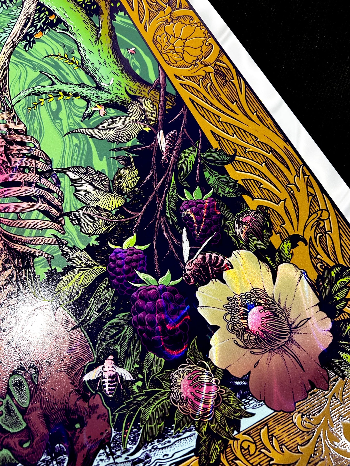 “APIANA” 18in x 24in LIMITED EDITION FOIL PRINT (Regular Variant)