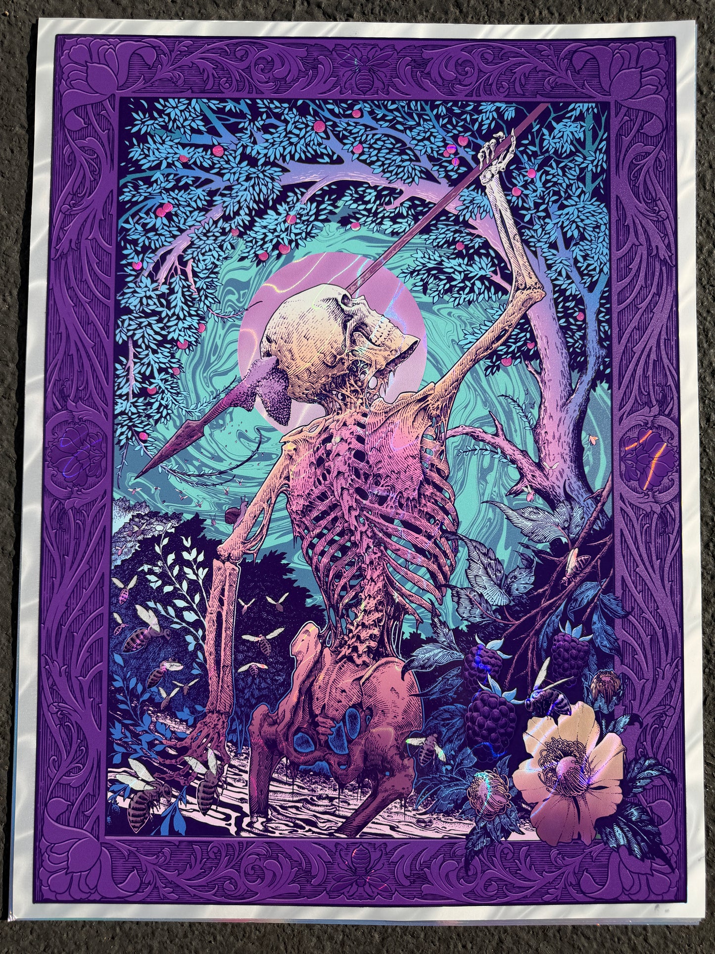 “APIANA” 18in x 24in LIMITED EDITION FOIL PRINT (Rare)