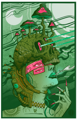 “WHEN WORLDS COLLIDE”(RARE) 11in x 17in LIMITED EDITION PRINT