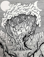 “Lignum Vitae” 11in x 14in LIMITED EDITION PRINT